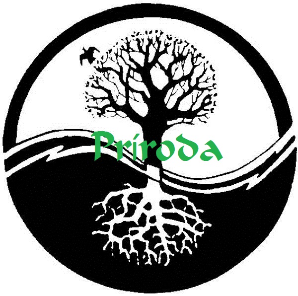 Človek a príroda 